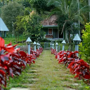 Ayurnest Pool Wayanad Resort